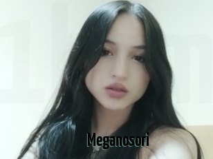 Meganosori