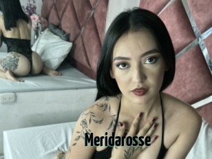 Meridarosse