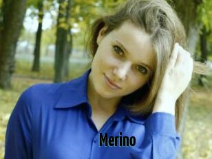 Merino