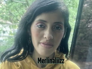 Merlinaliizz