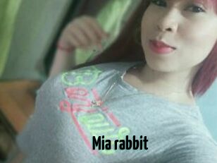 Mia_rabbit