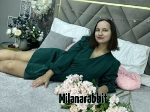 Milanarabbit