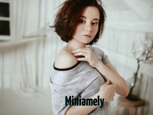 Miniamely