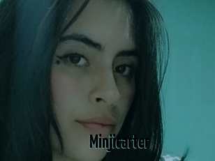 Minjicarter