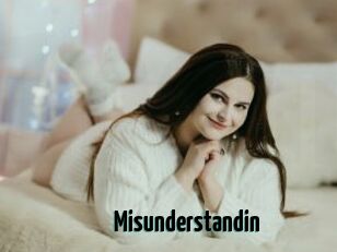 Misunderstandin
