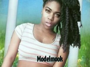 Modelmook