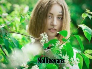 Mollieevans