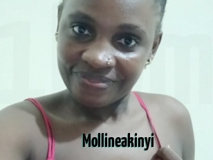 Mollineakinyi
