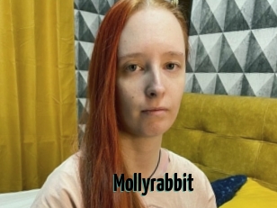 Mollyrabbit