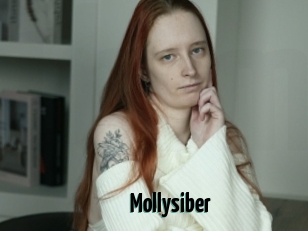Mollysiber