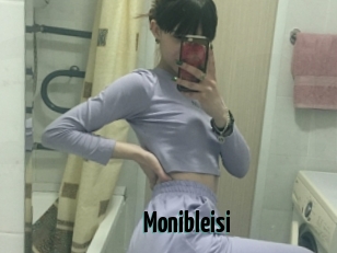 Monibleisi
