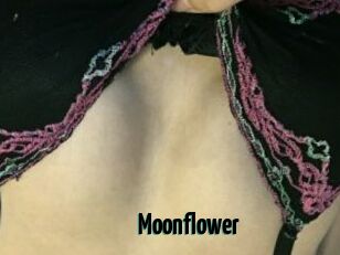 Moonflower