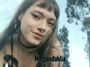 Morgandahlia
