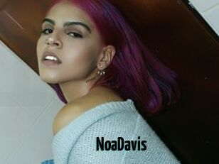 NoaDavis