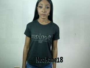 NoaKane18
