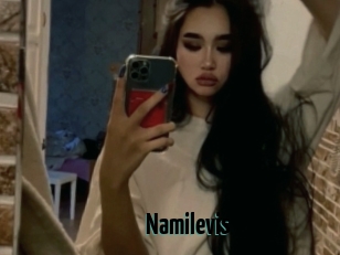 Namilevis