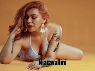Niacavallini