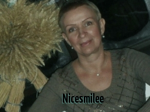 Nicesmilee