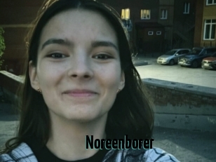 Noreenborer