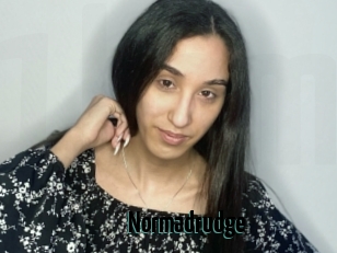 Normadrudge