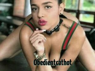 Obedientcathot