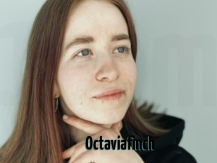 Octaviafinch