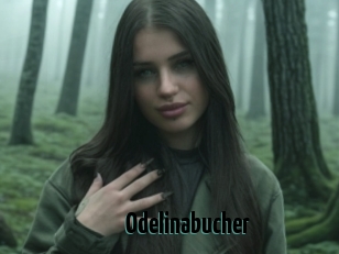 Odelinabucher