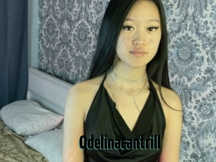 Odelinacantrill