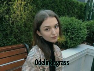 Odelindagrass