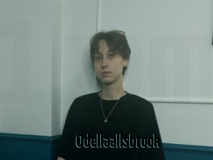 Odellaallsbrook