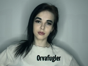 Orvafugler