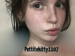 Pettitekitty1107