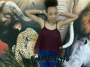 PinkMuffin3578