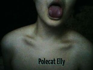 Polecat_Elly