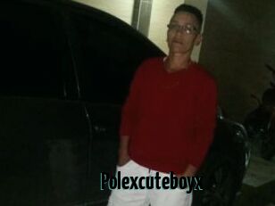 Polexcuteboyx