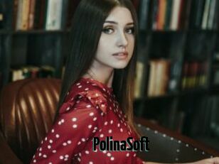 PolinaSoft