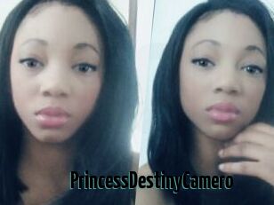 PrincessDestinyCamero