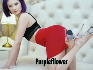 Purplefllower