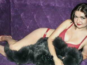 Puse