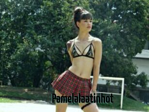 Pamelalaatinhot