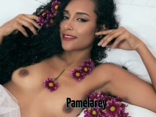 Pamelarey
