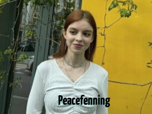 Peacefenning