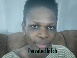 Pervated_bitch