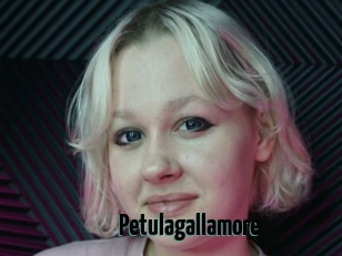 Petulagallamore