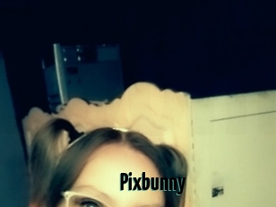 Pixbunny