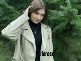 Pollerose