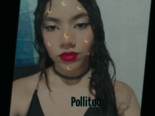 Pollitoo