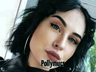 Pollymurs