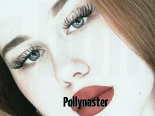 Pollynaster