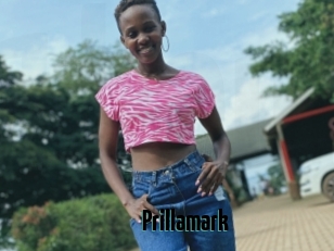 Prillamark